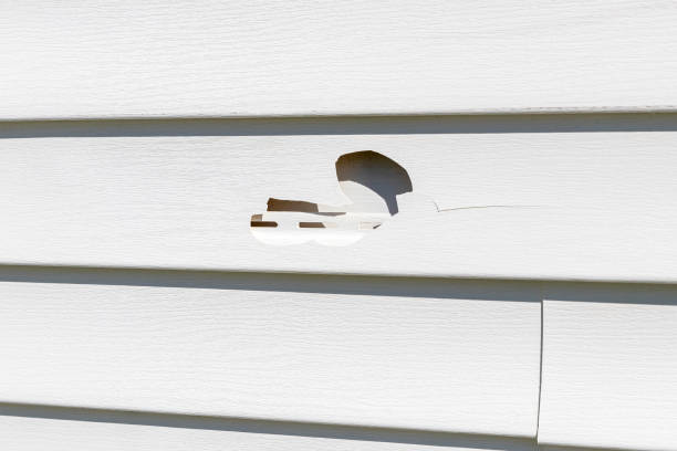 Best Vinyl Siding Installation  in Plain City, UT